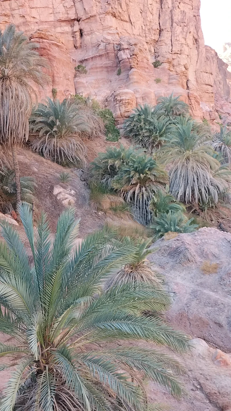 Al-Malha Canyon