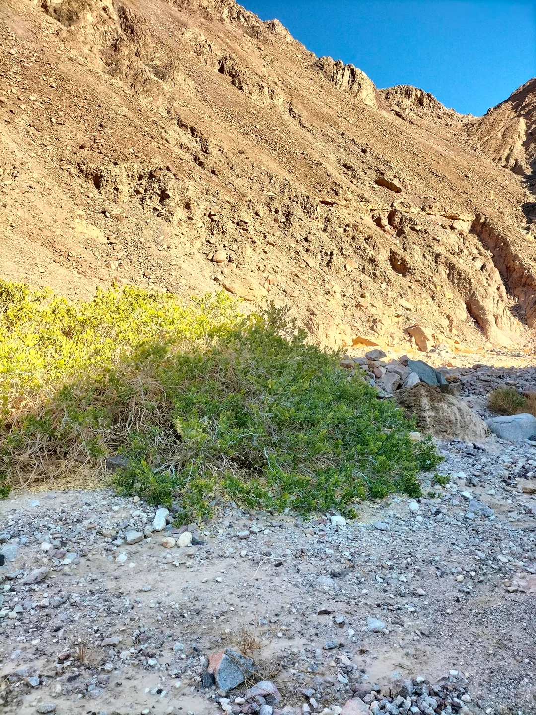 Al-Malha Canyon