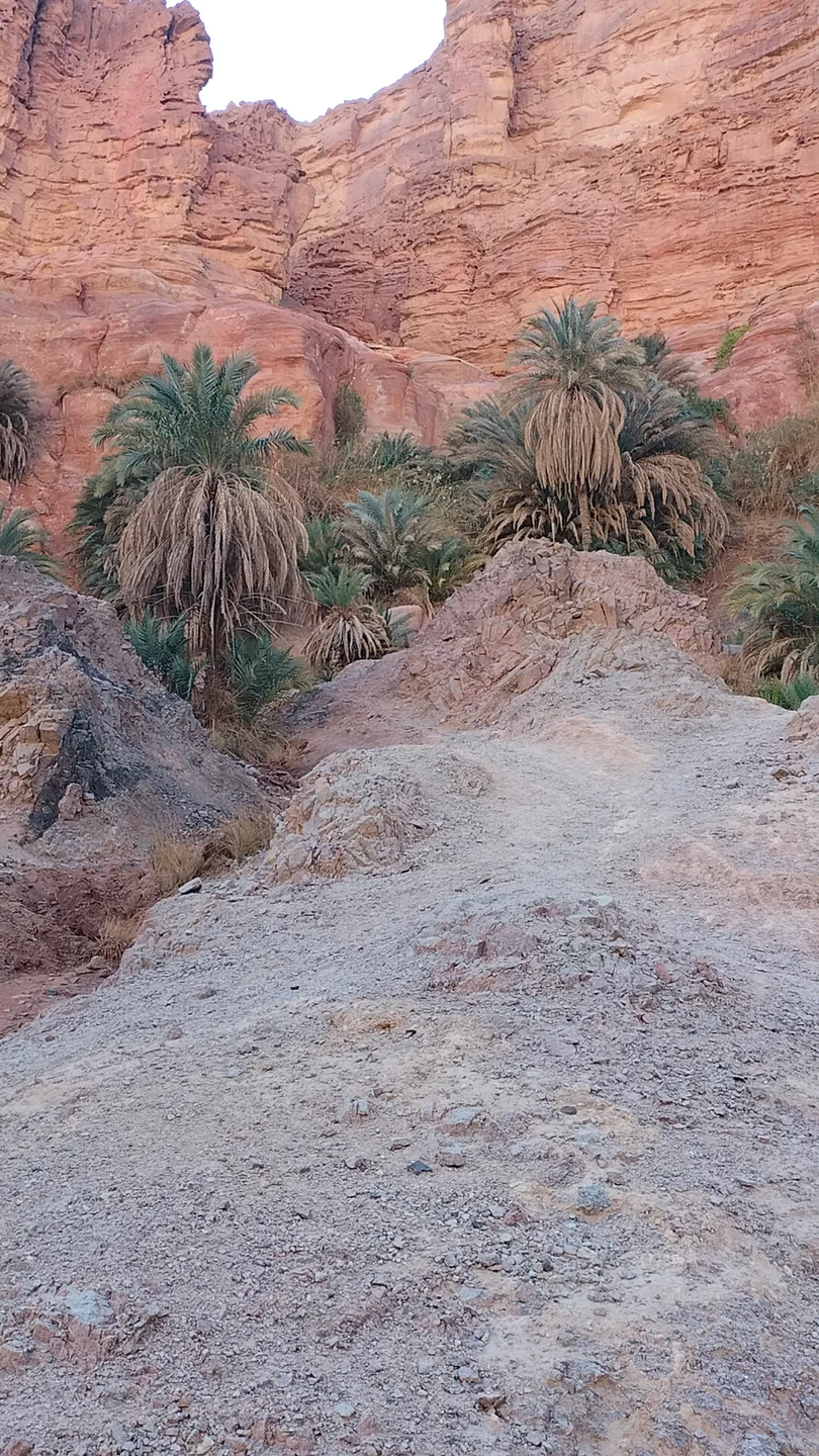 Al-Malha Canyon