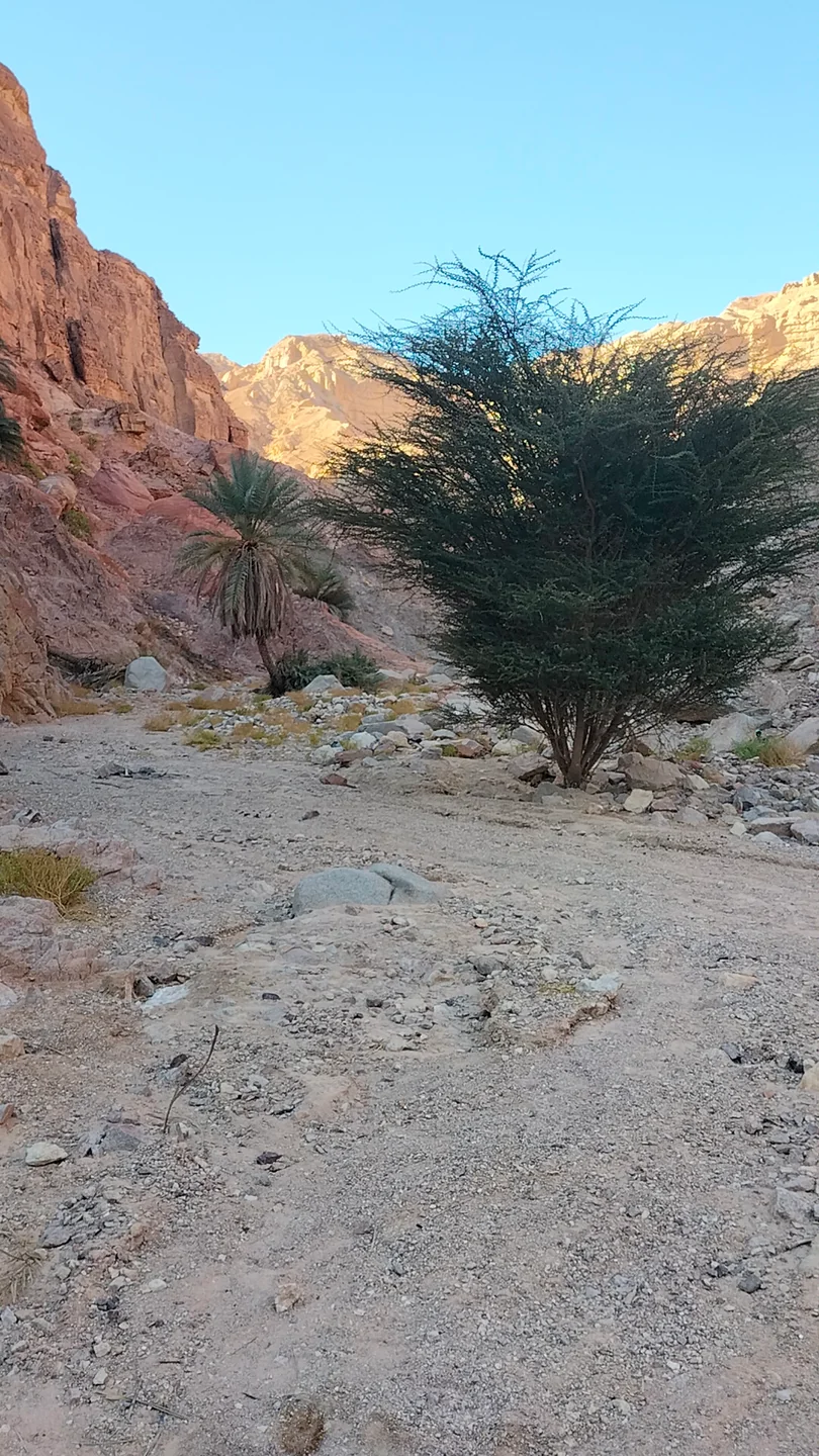 Al-Malha Canyon