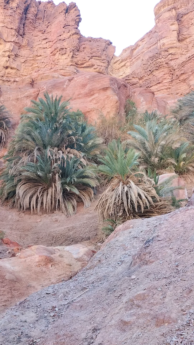 Al-Malha Canyon