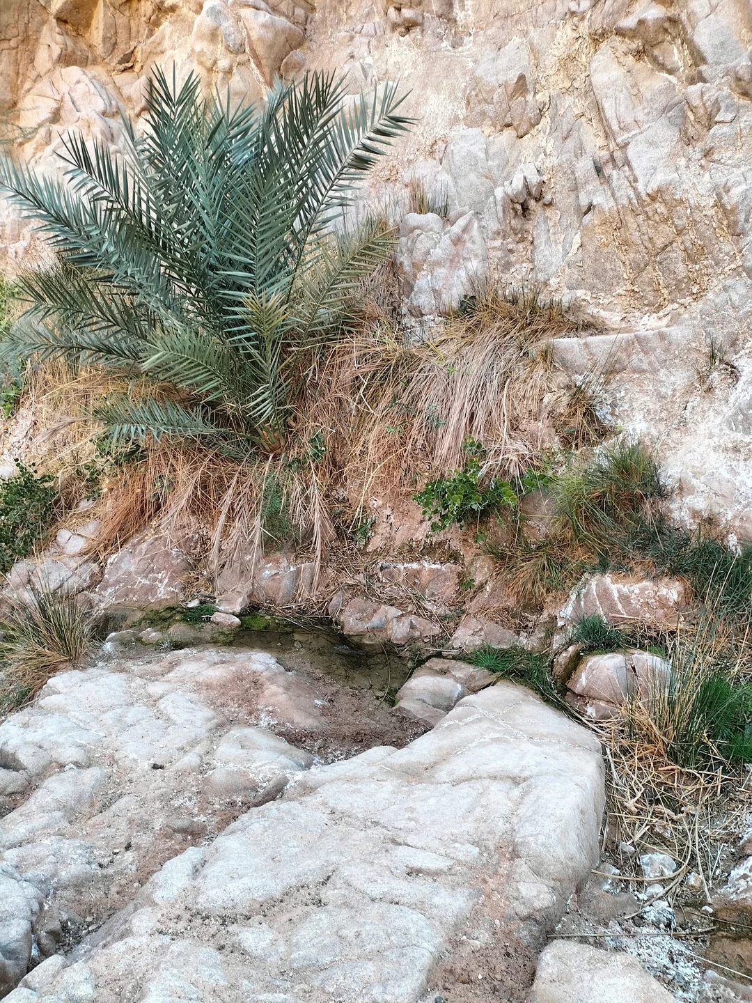 Al-Malha Canyon