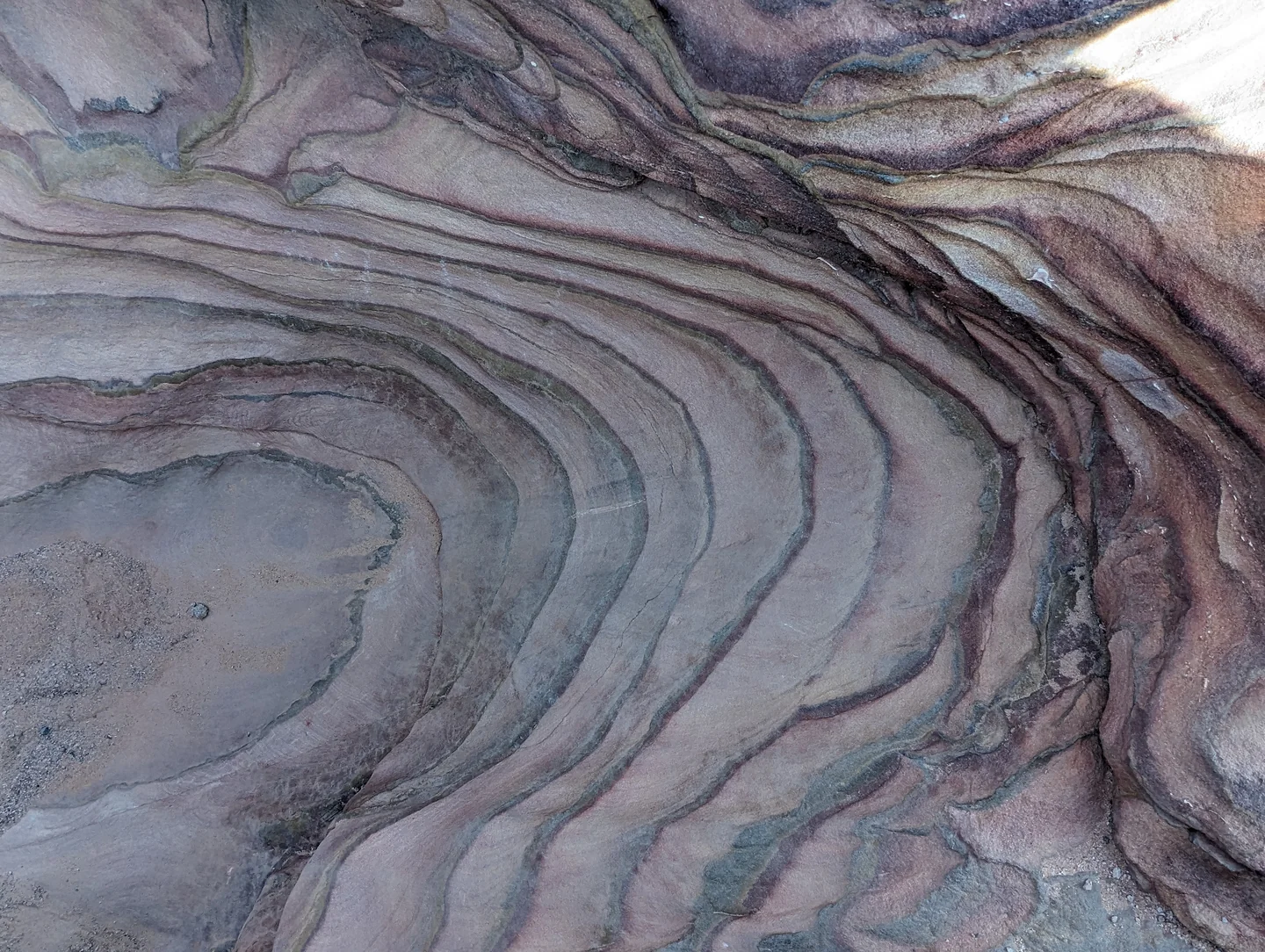 Canyon Salama + Ein Khudra + Mushroom Mountain