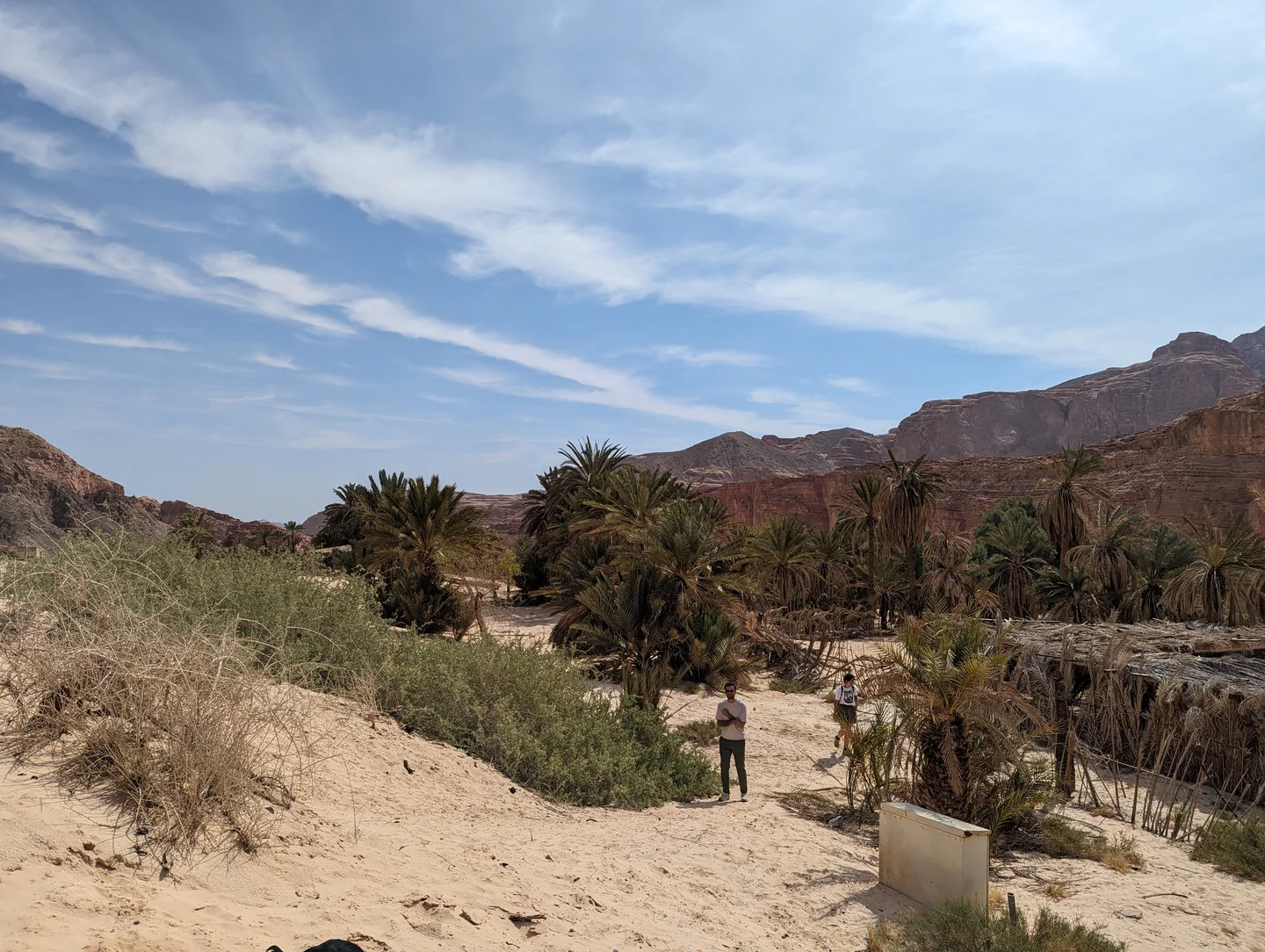 Canyon Salama + Ein Khudra + Mushroom Mountain